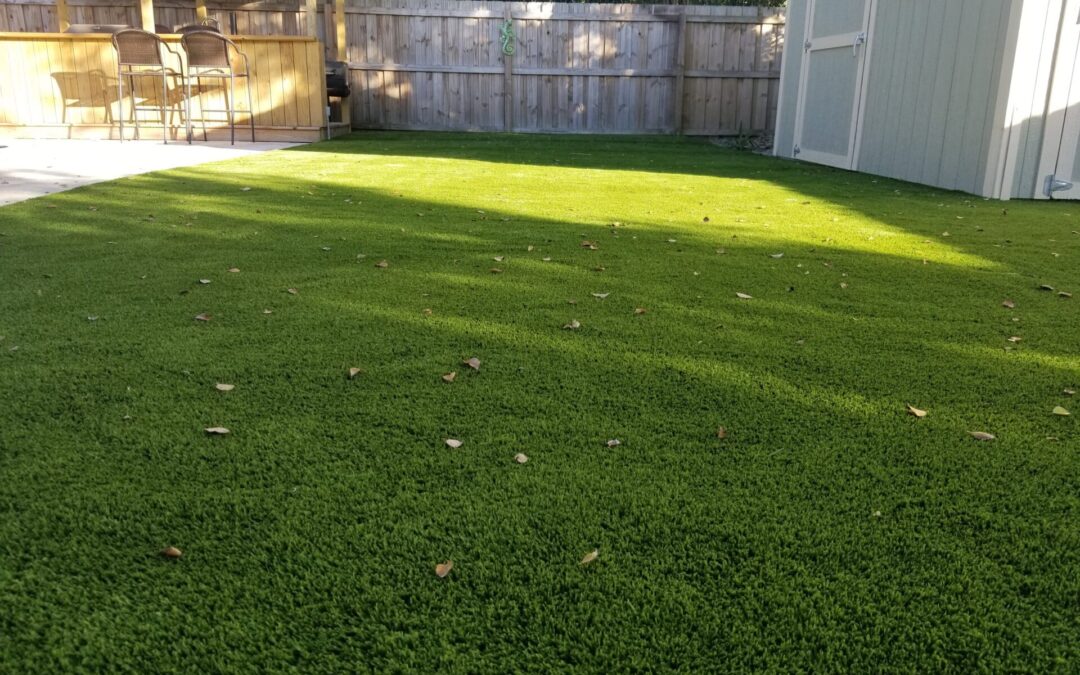 dried leaves on the artificial grass